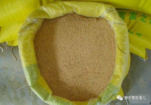 面瓜能不能喂牛羊吃呢视频,牛羊的美食还是不宜食用之谜？