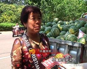 永城最新吃瓜群众事件视频,视频揭秘现场实况